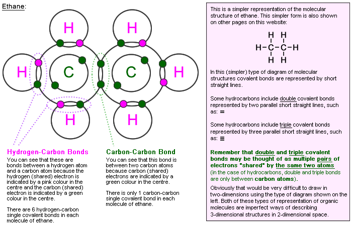 Why is carbon present in many types of molecules?
