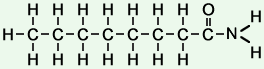 structure of octanamide