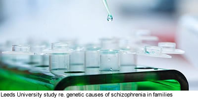 Research into genetic causes of schizophrenia in families