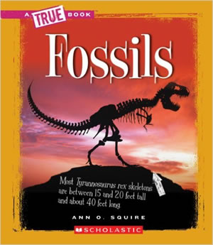 Fossils, Earth Science
